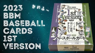 BBM 2002 BASEBALL CARDS PREMIUM100枚入り BBM2002 ベースボールカード プレビュー レギュラーカード