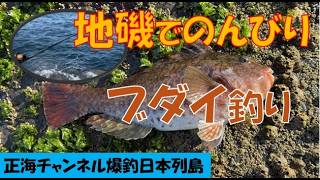 正海流ブダイ釣りを完全解説
