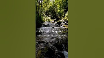 تلاوة خاشعة ومؤثرة للقرآن الكريم تريح القلوب للشيخ ماهر المعيقلي #القرآن_الكريم #quran#ماهر_المعيقلي