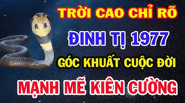 Trời Cao Chỉ Rõ, ĐINH TỊ 1977: Giải Mã Góc Khuất Đời Đời, Số Phận Luôn Gánh Chịu Những Bất Công