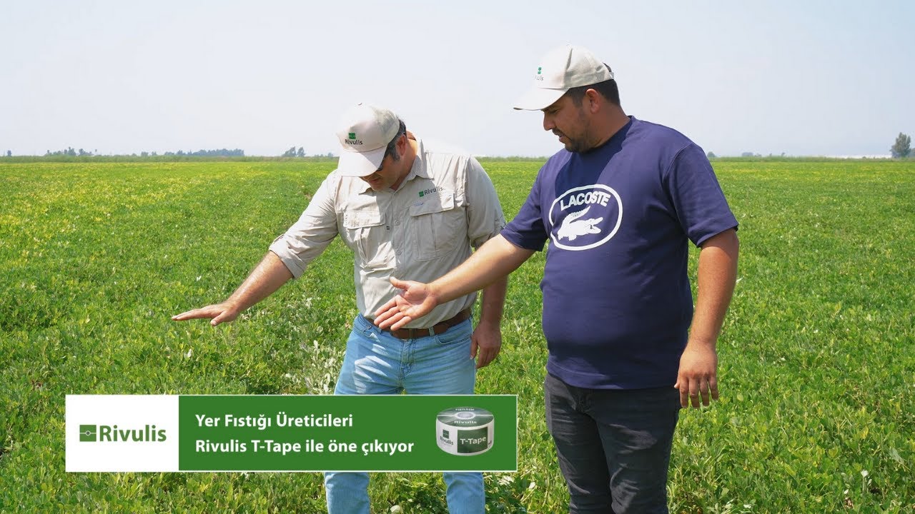 Rivulis | T-Tape ile Yer Fıstığı Üretiminde Maksimum Verim | Baki Akdemirbey, Adana