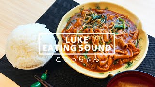 #9【飯テロ・咀嚼音】こてっちゃん【ASMR/Eating Sounds】