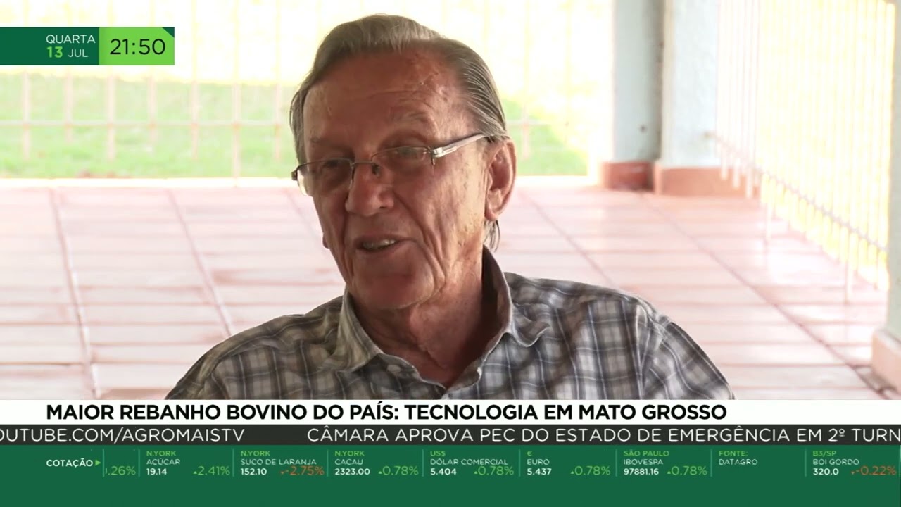 Maior rebanho bovino do país: tecnologia em Mato Grosso