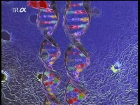 Video: Warum Die Kartierung Ihrer DNA Ihr Leben Retten Könnte