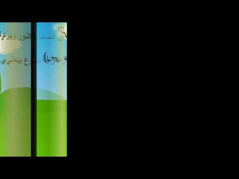 اللى خلق السما و النور