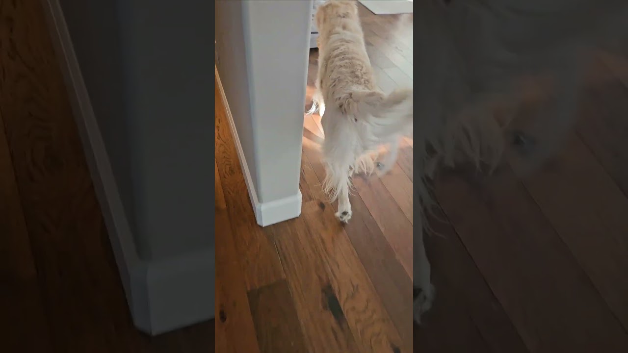 Happy birthday Russell! 