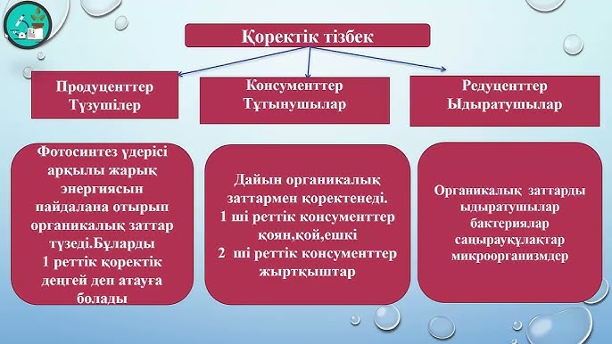 Порно конститут мастурбация