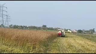 Harvesting in the field