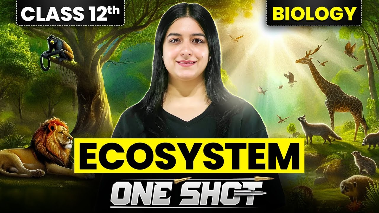 Ecosystem | Class 12 Biology Chapter 12 | ONE SHOT | Class 12 Biology ...