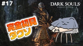 【毎日DARK SOULS REMASTERED】完全初見ダクソ！今度こそ絵画の世界にGO！ #17