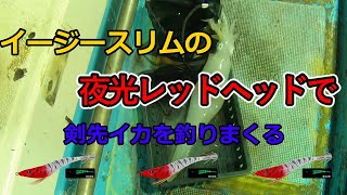 【イカメタル】イージースリムの夜光レッドヘッドカラーでイカを大量に釣る！【エギング】【オモリグ】【日本海】