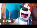 The Secret Life of Pets 2 - At the Vet Scene (1/10) | Movieclips
