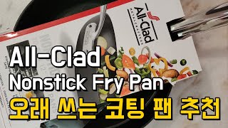 오래 쓰고 저렴한 코팅팬추천 올클래드 프라이팬 리뷰 구매 요령 팁 All-Clad Nonstick Fay Pan Review Buying Guide