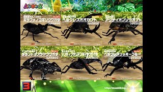 [アーケード] 甲虫王者 ムシキング  つよさ200 最強のカブト と クワガタ VS アダー登場編1 [全]