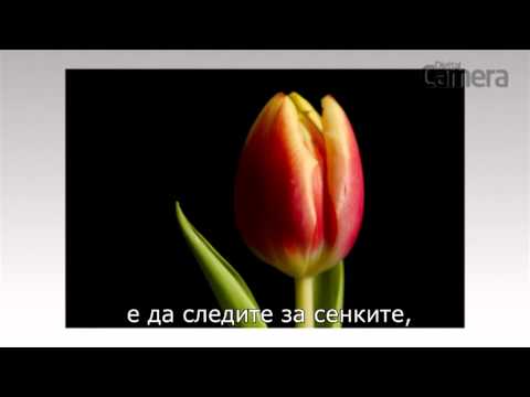 Видео: Пушене (103 снимки): камера за лятна резиденция, дизайн за пушене на колбаси, свинска мас, размери на фурната, как да изберем кръгло устройство и пушачка, стационарна пушалка