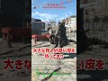 デスクローをざっくり解説【Fallout 4】 #Shorts