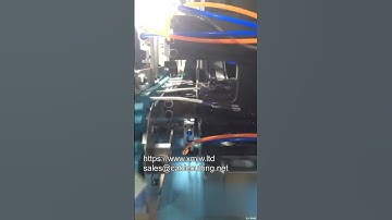 Automatic Tow Pin Plug Terminal Crimping Machine