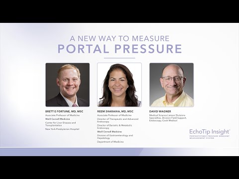 A new way to measure portal pressure: physician interview on EchoTip Insight