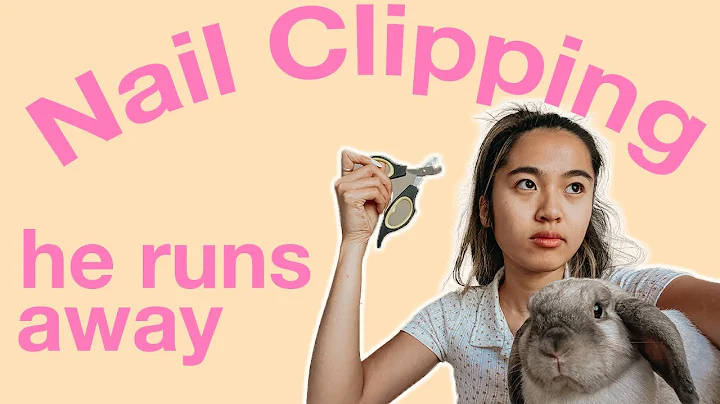 CLIPPING RABBIT NAILS | Tips for squirmy rabbits