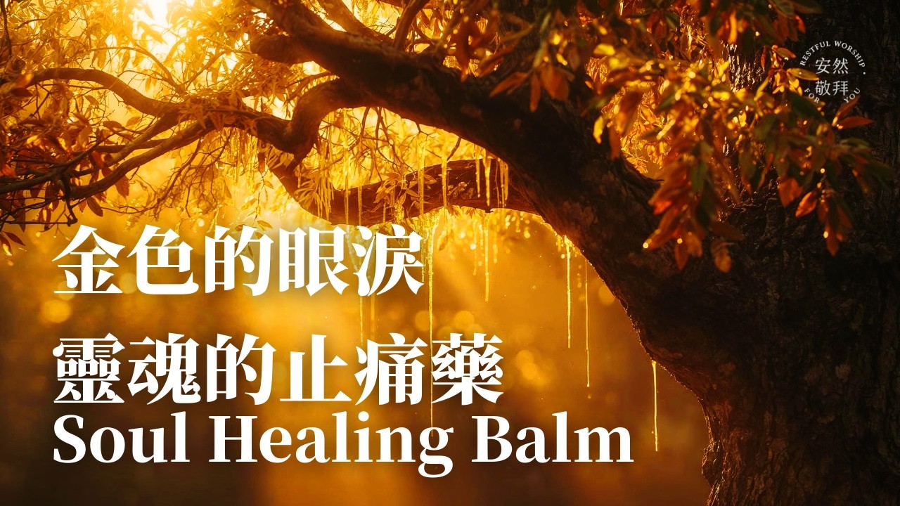 【靈魂的止痛藥】乳香的深層醫治．在最痛的深處遇見最溫暖的擁抱 ✨ 1小時內在醫治BGM｜安然敬拜