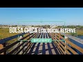 Bolsa Chica Ecological Reserve, CA