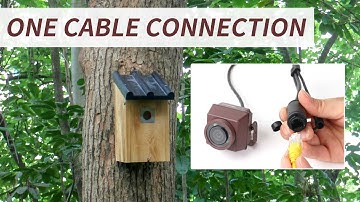 DIY POE Bird Box Camera Installation Guide | Watch Birds Up Close