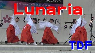 【Lunaria】【TDF（東北ダンスフェスティバル2026）】