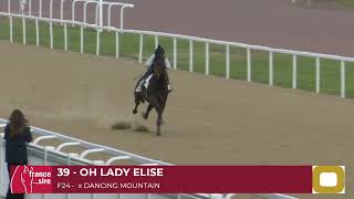 Lot 39 - OH LADY ELISE Profile