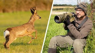 This is What I Learnt About Photographing Roe Deer: (Fieldcraft, Camera Settings & Techniques) by Paul Miguel Photography 10,881 views 8 months ago 19 minutes