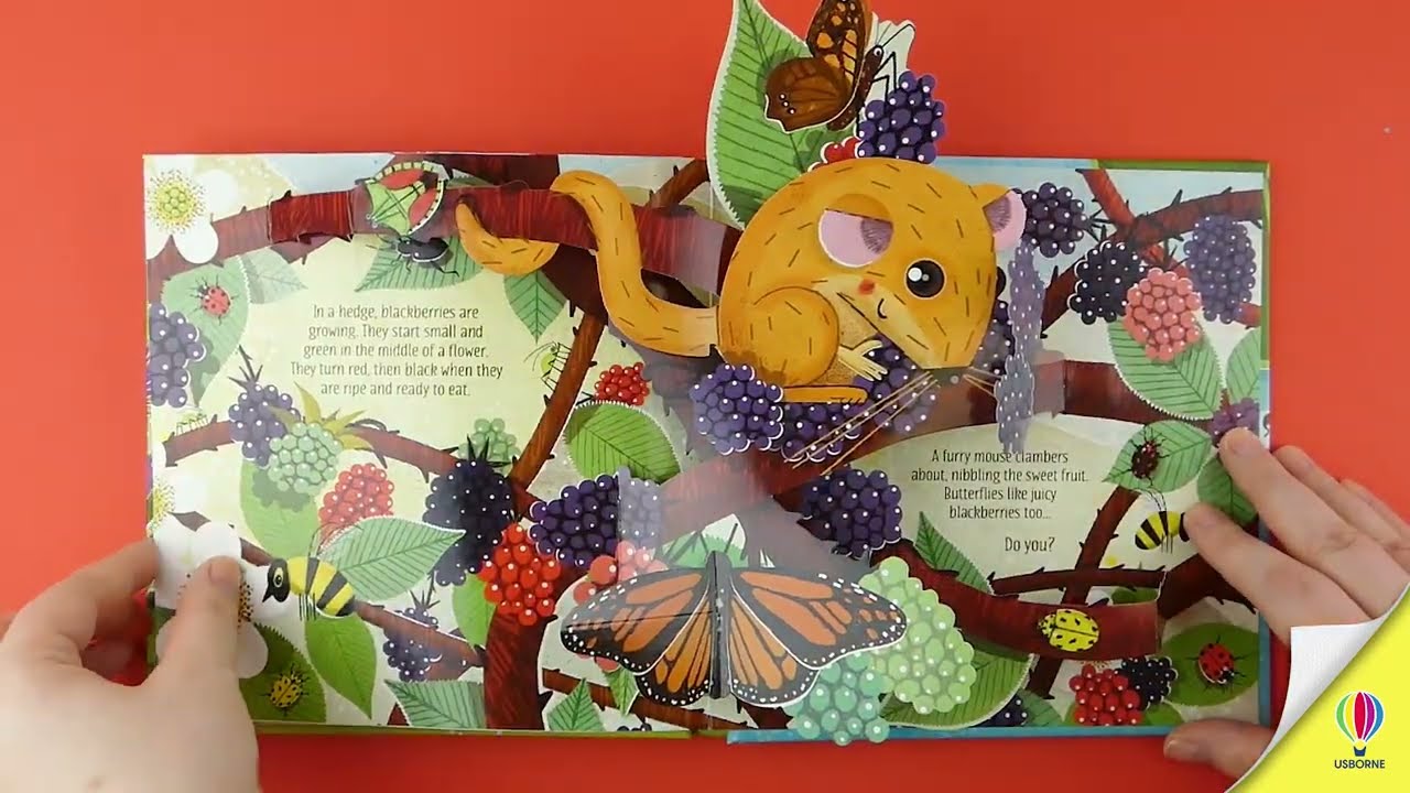 Pop-Up Nature - YouTube