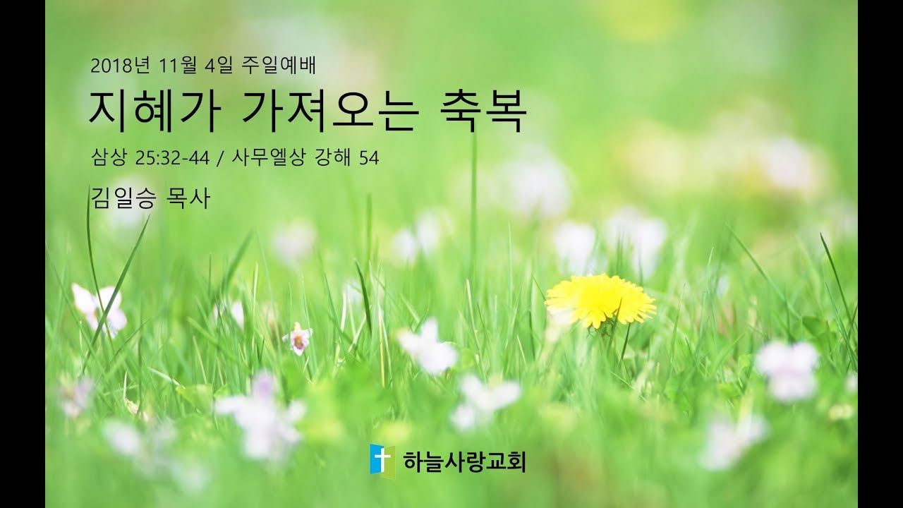 삼상 54 25:32-44 지혜가 가져오는 축복