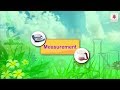 Mastering Measurement Units in Everyday Life