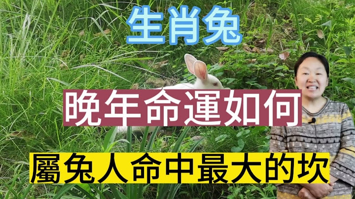 生肖兔！属兔人晚年命运如何？生肖属兔人命中最大的坎又是什么？本期视频讲述生肖兔命运运程财运！ - 天天要闻