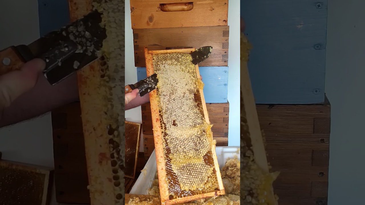 Comme disent les jeunes, c'est trop satisfaisant !! #miel #apiculteur #beekeeping #beekeeper