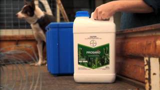 Bayer Crop Science - Prosaro