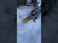 Model Train Struggles to Clear Snow Off The Tracks