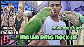 #bocaue petmarket#indian ring neck ni boss yobb sobrang ganda#torq gcc#merl french bulldog❤