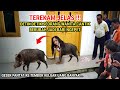 🔴 VIRAL!! THE MOMENTS A BEAUTIFUL WOMAN TURNS INTO A SNATCHING PIG WHILE STEALING MONEY FROM A CI...