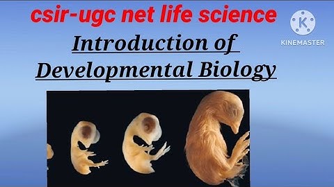 Introduction of Developmental Biology | most important topics | csir net june 2023