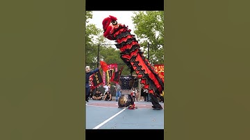 Thumbnail of American Dragon & Lion Dance Festival mua lan tarian singa #liondance #舞狮 #mualan