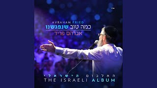 Video thumbnail of "Avraham Fried - אחים בנפש"