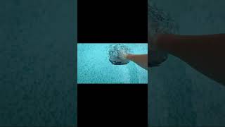 This Cordless Pool Cleaner Does the Work for You! 🏊‍♂️ AIPER Scuba Review #Shorts