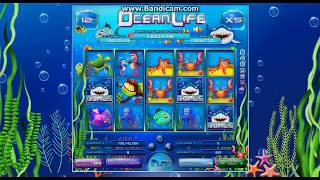 Ocean Life Play Money Casino Community Casoony with 100 Free Spins Casino Bonus screenshot 5