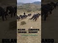 ऐसी ट्रेनिंग ना देखी होगी || BULAND COMMANDO TRAINING ACADEMY , UDHAMPUR ||