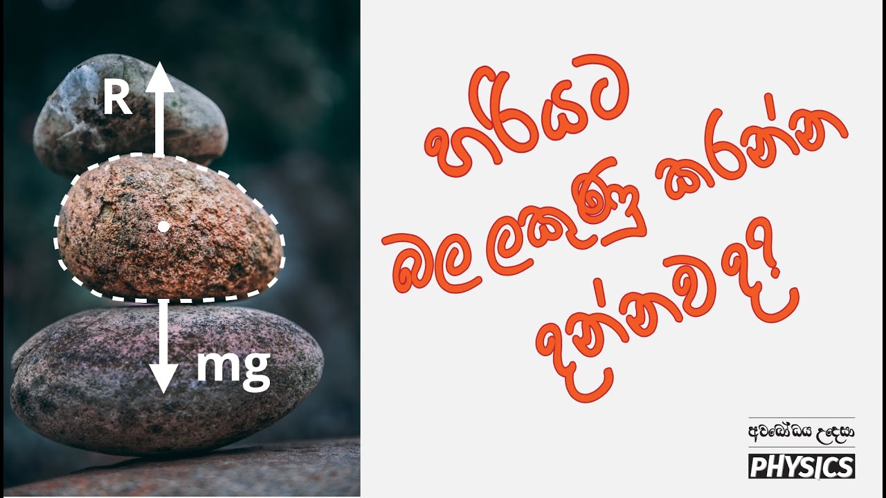 බල ලකුණු කිරීම | Mechanics | Gayashan Wagachchi | Physics