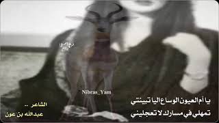 عبدالله بن عون    العيون الوساع