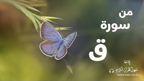 تـلاوة مبكية من سورة ق  يتلوها القارئ | عبد العزيز سحيم