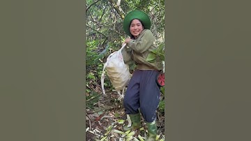 Thành quả một ngày đi rừng (p3 ) #Trieuthimay #cuộcsốngmiềnnúi #cuộcsốnghàngngày