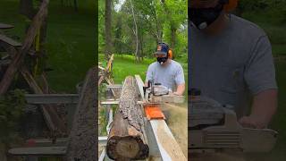 Crazy Nice Spalted Maple Slabs Sliced on my Logosol F2+ Chainsaw Mill!