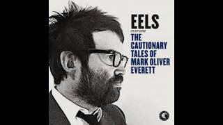 Eels - A swallow in the sun, Lyrics &amp; Traducción